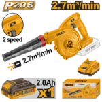 CABLI200181