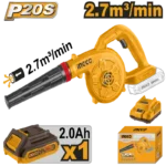 CABLI200281
