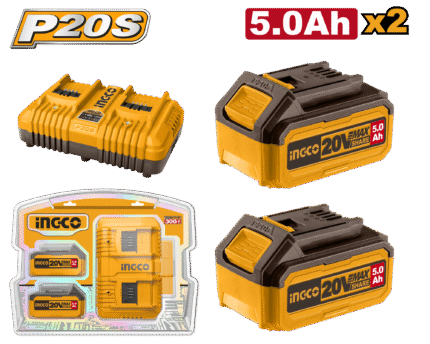 P20S Lithium-Ion battery and charger kit